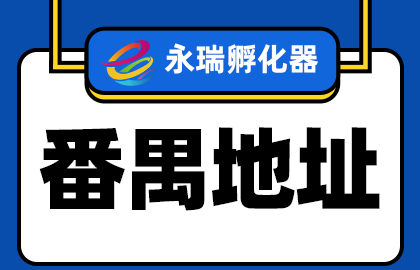 番禺公司注册地址挂靠新规解读